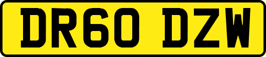 DR60DZW