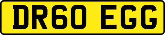 DR60EGG