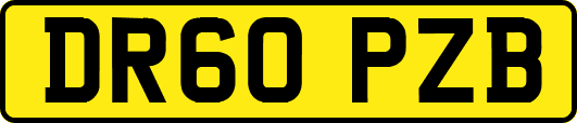 DR60PZB