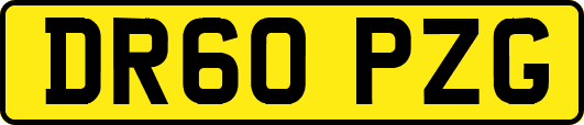 DR60PZG