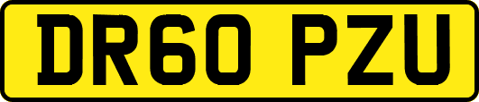 DR60PZU
