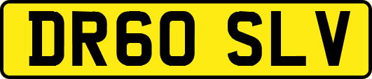 DR60SLV