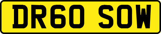 DR60SOW