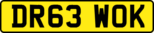 DR63WOK
