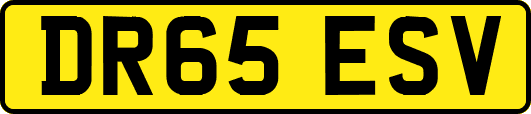 DR65ESV