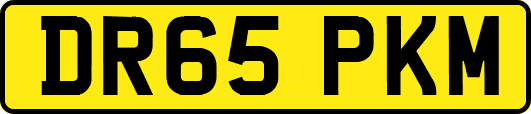 DR65PKM