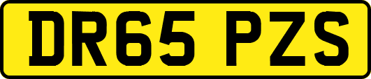 DR65PZS