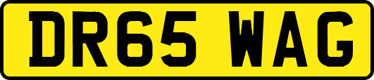 DR65WAG