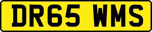 DR65WMS