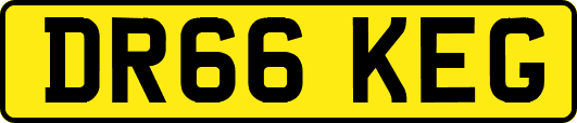 DR66KEG