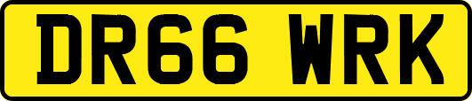 DR66WRK