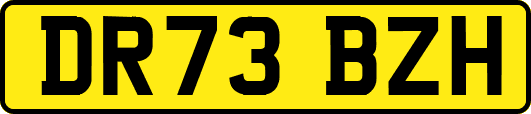 DR73BZH