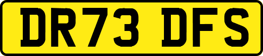 DR73DFS