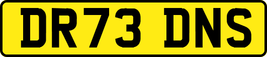 DR73DNS