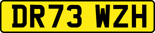 DR73WZH