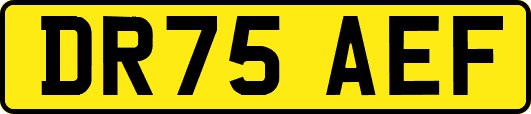 DR75AEF