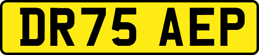 DR75AEP