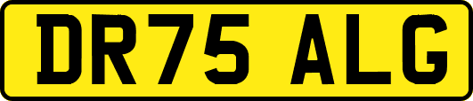 DR75ALG