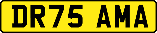 DR75AMA