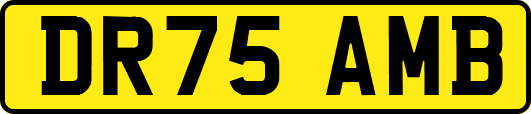 DR75AMB