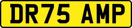 DR75AMP