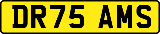 DR75AMS
