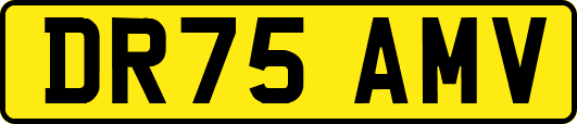 DR75AMV