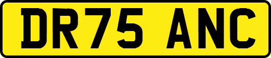 DR75ANC