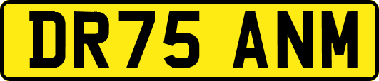 DR75ANM