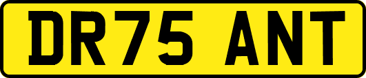 DR75ANT
