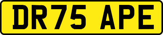 DR75APE