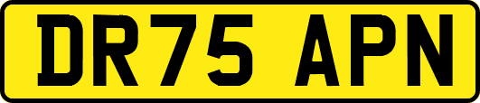 DR75APN