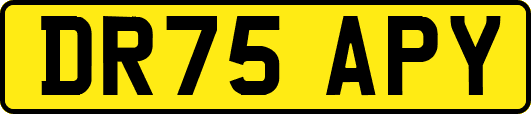 DR75APY