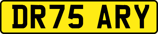 DR75ARY