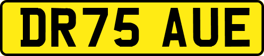 DR75AUE