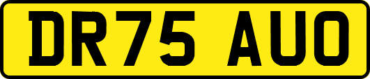 DR75AUO