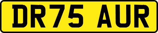 DR75AUR