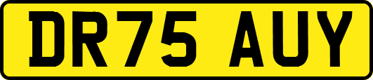 DR75AUY