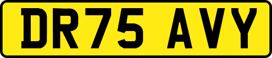 DR75AVY
