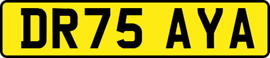 DR75AYA