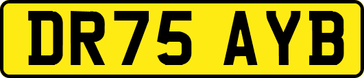 DR75AYB