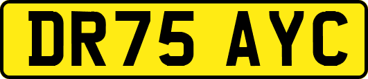 DR75AYC
