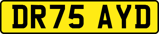 DR75AYD