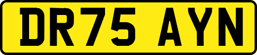 DR75AYN
