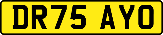 DR75AYO