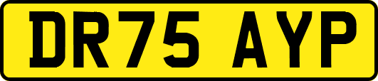 DR75AYP