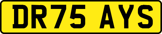DR75AYS
