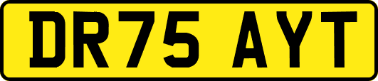 DR75AYT