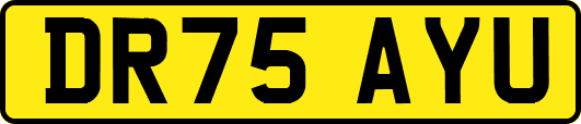 DR75AYU