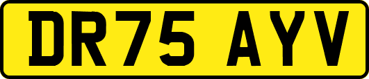 DR75AYV